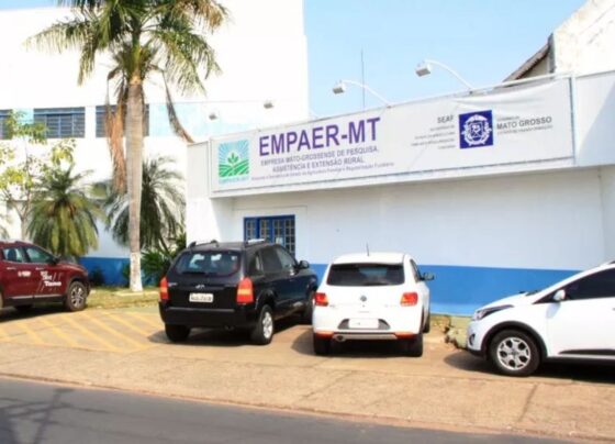 empaer