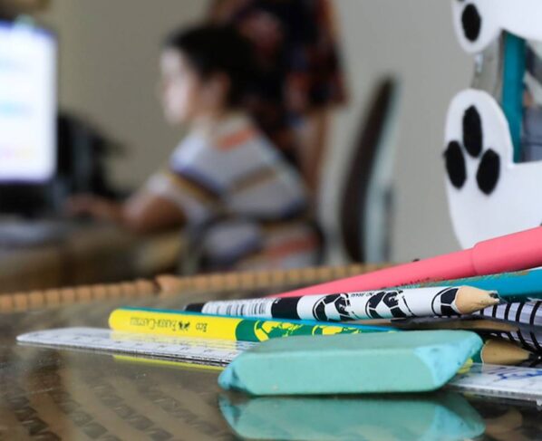 Impactos da pandemia do novo coronavírus no ensino e na educação brasileira. Brasília(DF), 25/11/2020