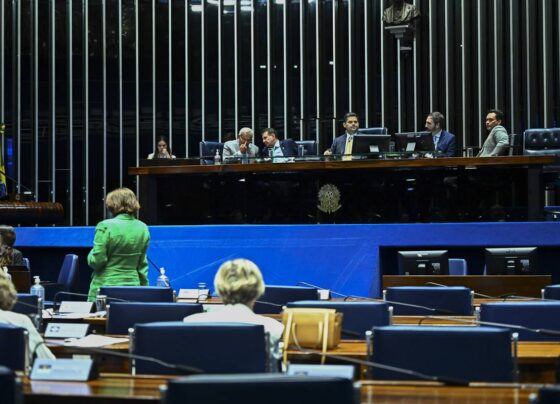 Plenário do Senado - Metrópoles
