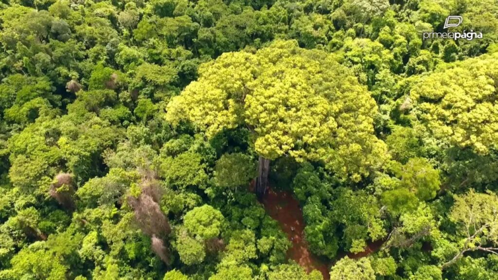 Licenciamento ambiental